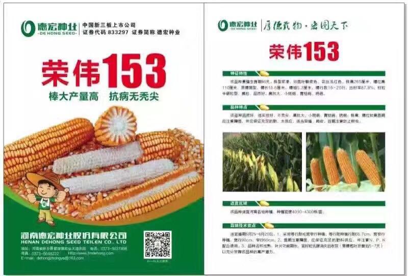 荣伟153