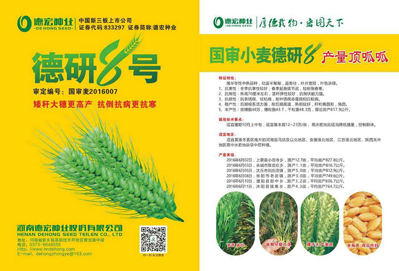 德研8号