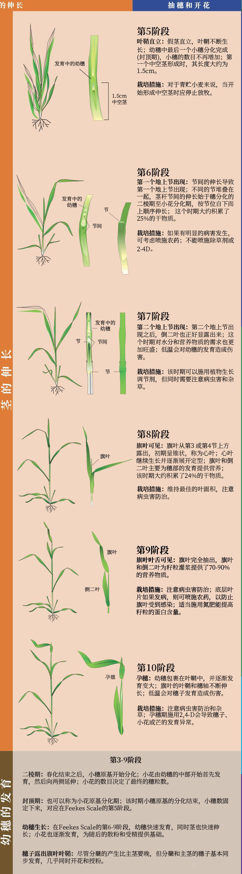 图片6