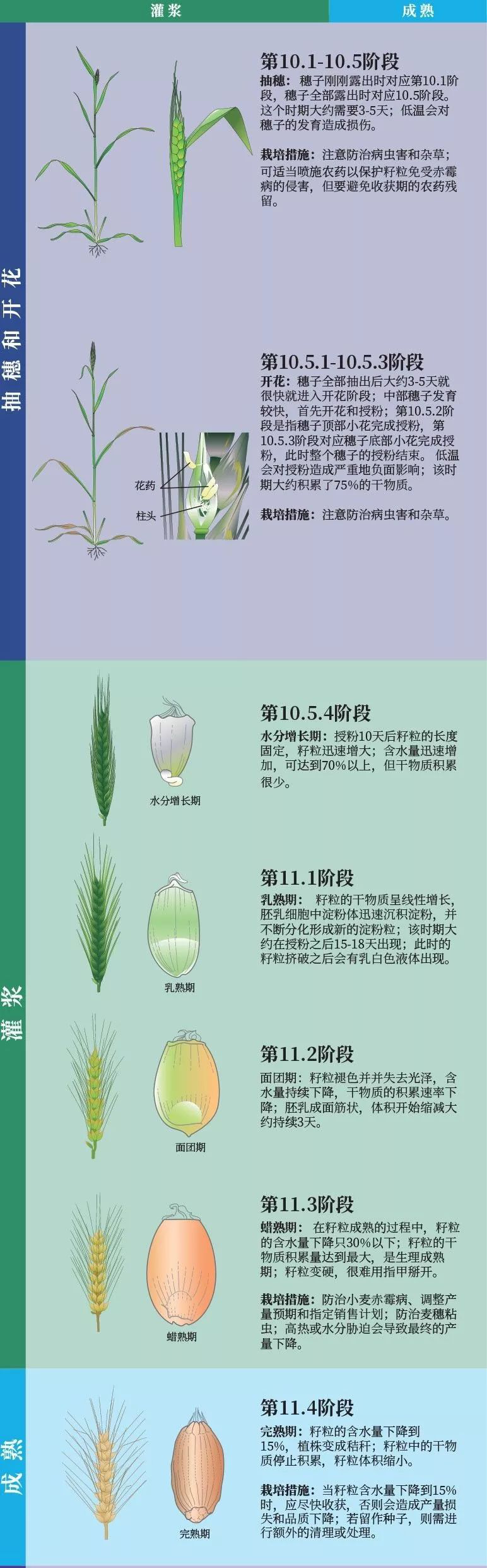 图片7